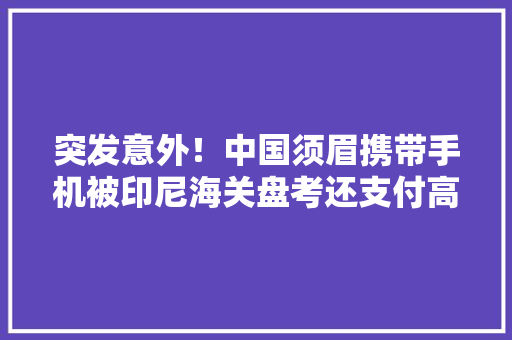 突发意外！中国须眉携带手机被印尼海关盘考还支付高额税费