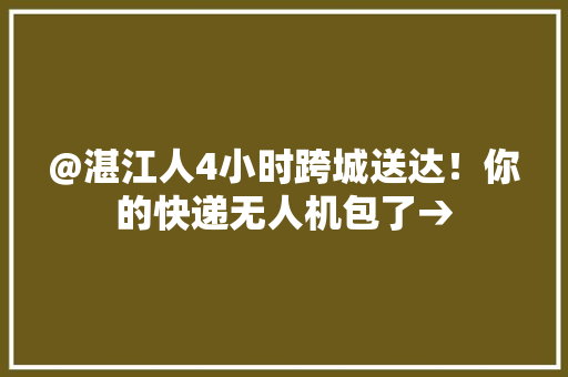 @湛江人4小时跨城送达！你的快递无人机包了→