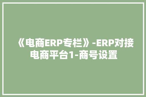 《电商ERP专栏》-ERP对接电商平台1-商号设置