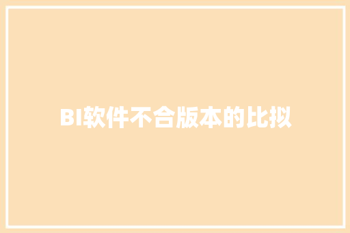 BI软件不合版本的比拟