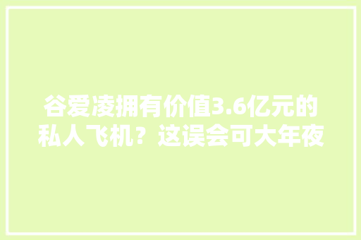 谷爱凌拥有价值3.6亿元的私人飞机？这误会可大年夜了