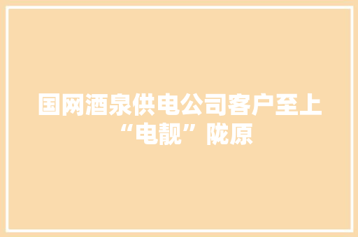 国网酒泉供电公司客户至上 “电靓”陇原