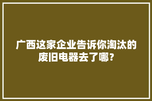 广西这家企业告诉你淘汰的废旧电器去了哪？