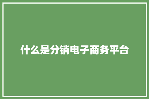 什么是分销电子商务平台