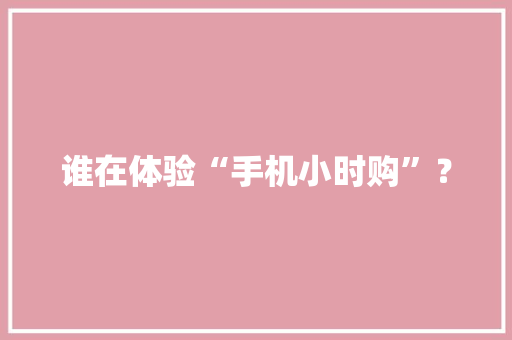 谁在体验“手机小时购”？