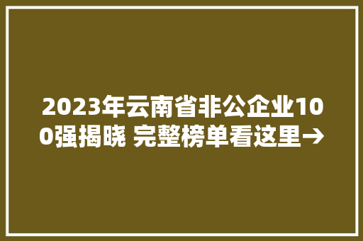 2023年云南省非公企业100强揭晓 完整榜单看这里→