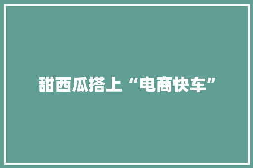 甜西瓜搭上“电商快车”