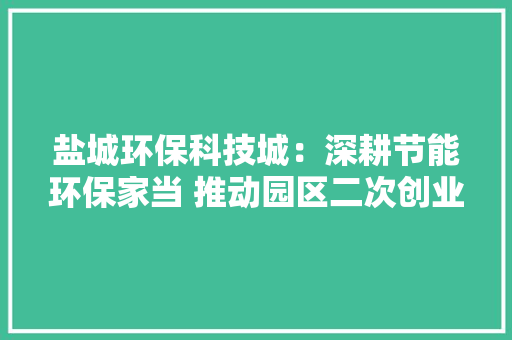 盐城环保科技城：深耕节能环保家当 推动园区二次创业