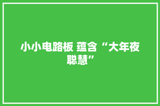 小小电路板 蕴含“大年夜聪慧”