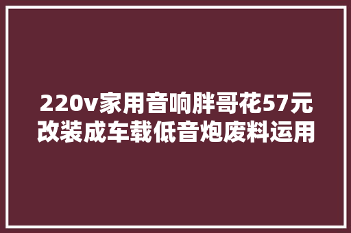220v家用音响胖哥花57元改装成车载低音炮废料运用大年夜家可以试试