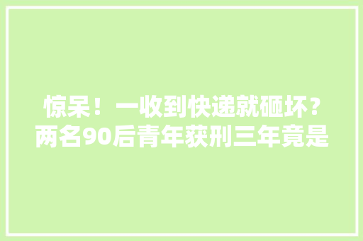 惊呆！一收到快递就砸坏？两名90后青年获刑三年竟是因为它