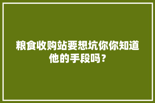 粮食收购站要想坑你你知道他的手段吗？