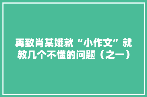 再致肖某娥就“小作文”就教几个不懂的问题（之一）