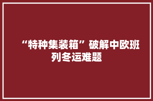 “特种集装箱”破解中欧班列冬运难题