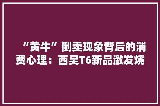 “黄牛”倒卖现象背后的消费心理：西昊T6新品激发烧议