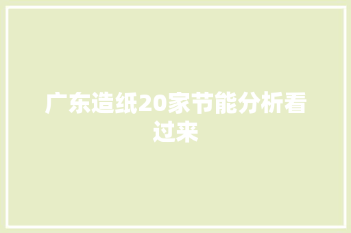 广东造纸20家节能分析看过来