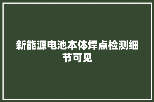 新能源电池本体焊点检测细节可见