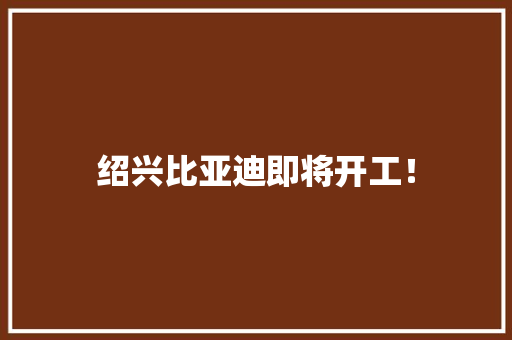 绍兴比亚迪即将开工！