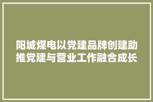 阳城煤电以党建品牌创建助推党建与营业工作融合成长