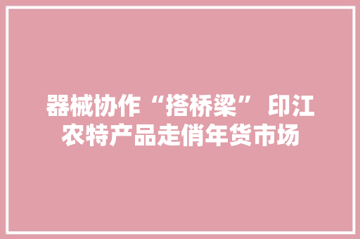 器械协作“搭桥梁” 印江农特产品走俏年货市场