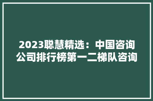 2023聪慧精选：中国咨询公司排行榜第一二梯队咨询公司周全盘点