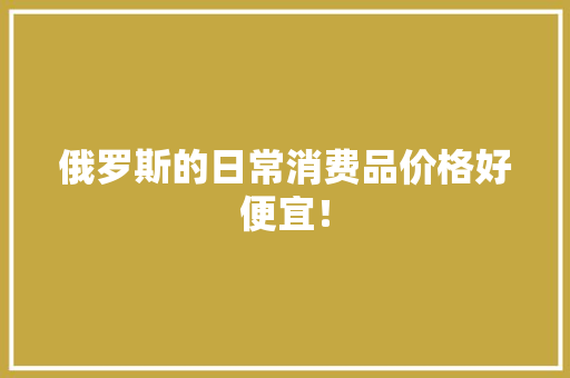 俄罗斯的日常消费品价格好便宜！
