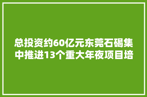 总投资约60亿元东莞石碣集中推进13个重大年夜项目培植