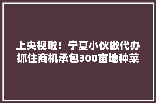 上央视啦！宁夏小伙做代办抓住商机承包300亩地种菜年入600万