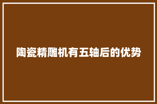陶瓷精雕机有五轴后的优势
