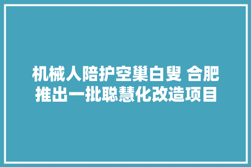 机械人陪护空巢白叟 合肥推出一批聪慧化改造项目
