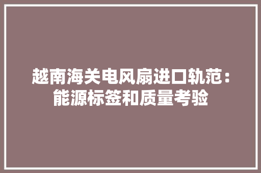 越南海关电风扇进口轨范：能源标签和质量考验