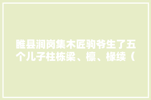 睢县涧岗集木匠驹爷生了五个儿子柱栋梁、檩、椽续（二）