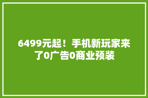 6499元起！手机新玩家来了0广告0商业预装