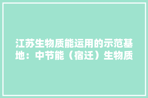江苏生物质能运用的示范基地：中节能（宿迁）生物质能发电有限公司