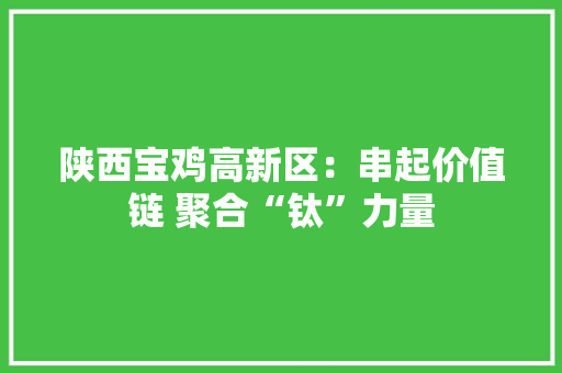 陕西宝鸡高新区：串起价值链 聚合“钛”力量