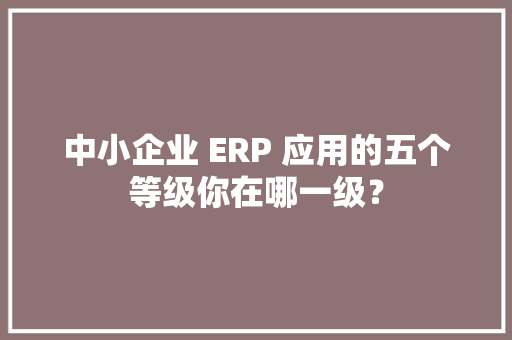 中小企业 ERP 应用的五个等级你在哪一级？