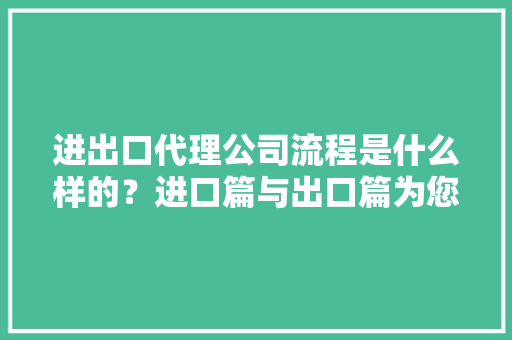进出口代理公司流程是什么样的？进口篇与出口篇为您揭晓