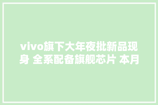 vivo旗下大年夜批新品现身 全系配备旗舰芯片 本月宣告？