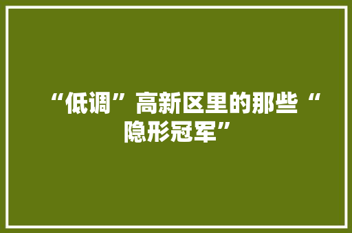 “低调”高新区里的那些“隐形冠军”