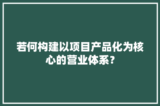 若何构建以项目产品化为核心的营业体系？