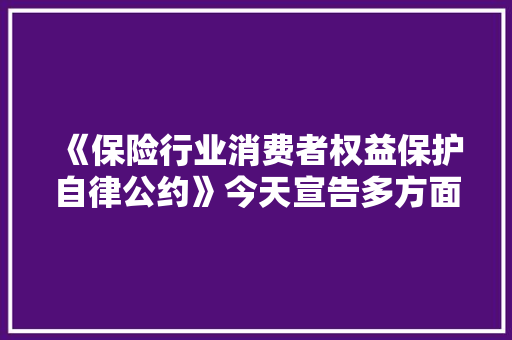 《保险行业消费者权益保护自律公约》今天宣告多方面规范→