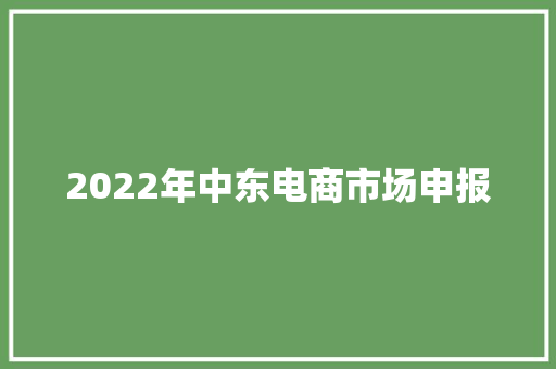 2022年中东电商市场申报