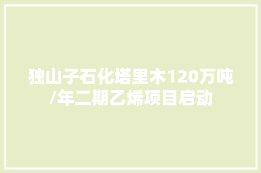 独山子石化塔里木120万吨/年二期乙烯项目启动