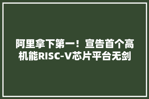 阿里拿下第一！宣告首个高机能RISC-V芯片平台无剑600