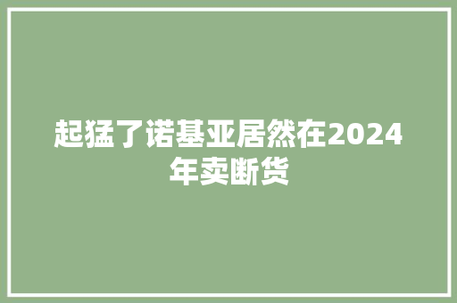 起猛了诺基亚居然在2024年卖断货