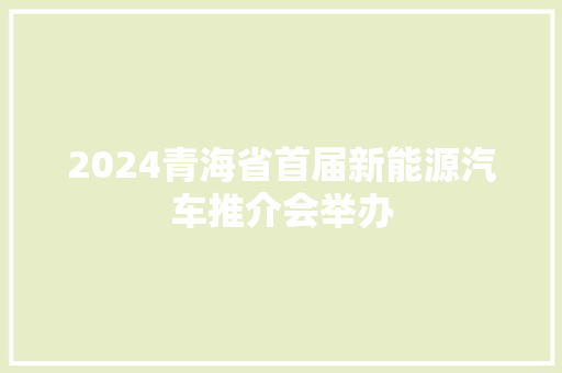 2024青海省首届新能源汽车推介会举办