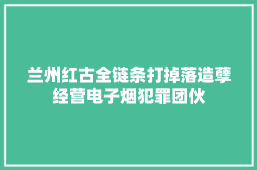 兰州红古全链条打掉落造孽经营电子烟犯罪团伙