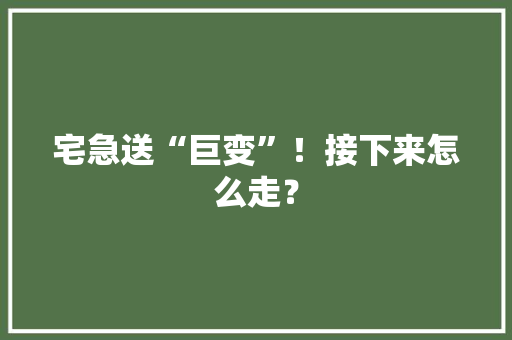 宅急送“巨变”！接下来怎么走？