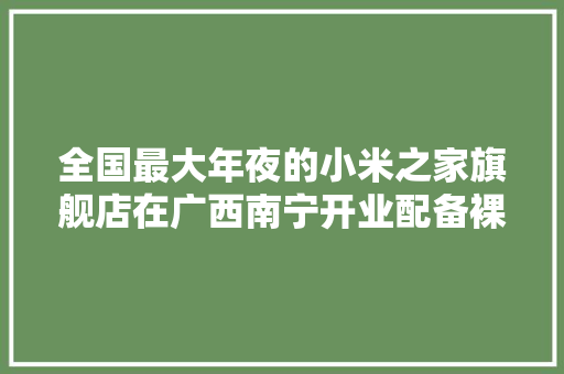 全国最大年夜的小米之家旗舰店在广西南宁开业配备裸眼 3D 广告屏