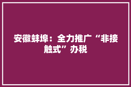 安徽蚌埠：全力推广“非接触式”办税
